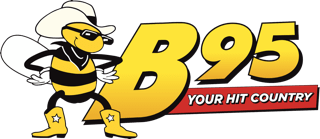 B-95 (WFBE-FM)